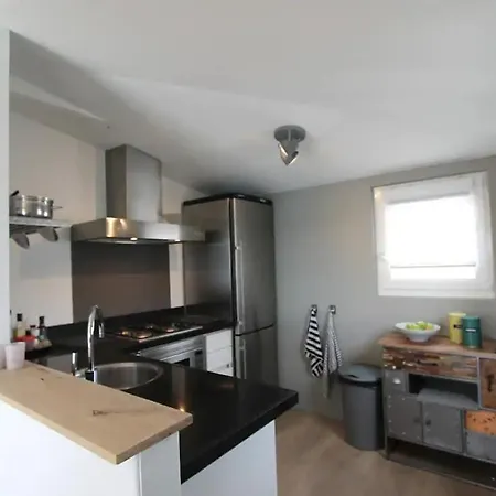 Luxury Ark With Sauna Near Amsterdam Apartment *